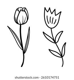 beautiful flower vector illustration set