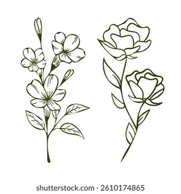 beautiful flower vector illustration set