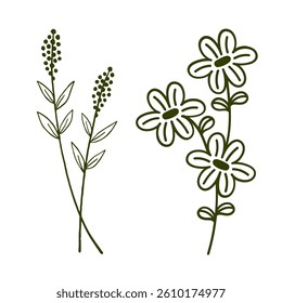 beautiful flower vector illustration set