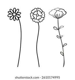 beautiful flower vector illustration set