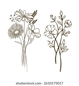 beautiful flower vector illustration set