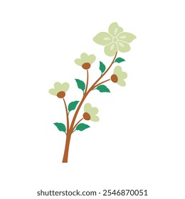 Beautiful flower vector style, illustration with white background