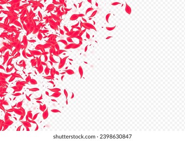 Beautiful Flower Vector Transparent Background. Japan Blossom Template. Red Cherry Spring Design. Pink Blur Floral Banner.