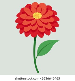 Beautiful flower vector Zinnia Elegans. 