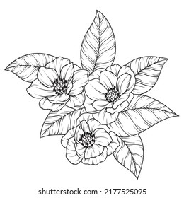 beautiful flower or wild flower drawing