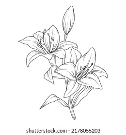 bonito dibujo de flores o flores silvestres