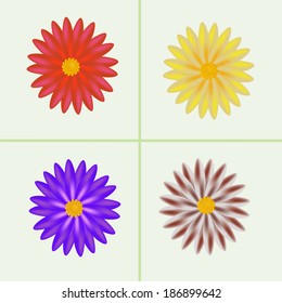 beautiful flowers