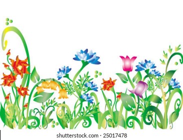 Beautiful flowers