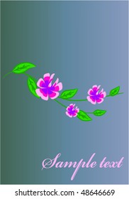 beautiful flowers
