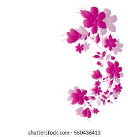 beautiful flowers