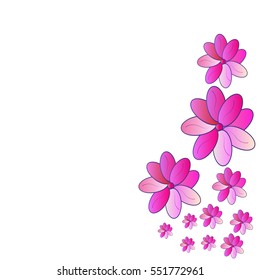 beautiful flowers