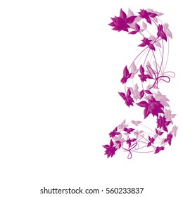 beautiful flowers