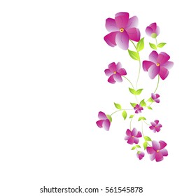 beautiful flowers