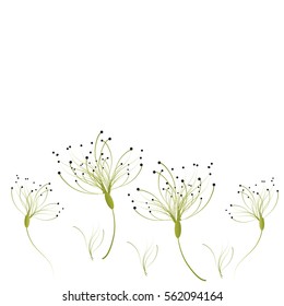 beautiful flowers