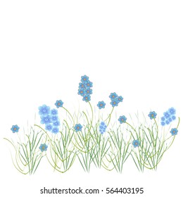 beautiful flowers