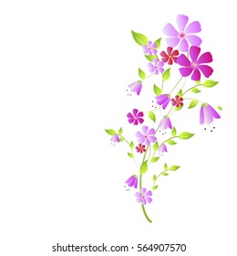 beautiful flowers