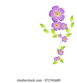 beautiful flowers