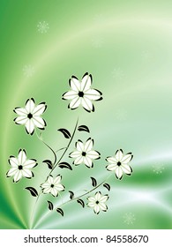 Beautiful flowers
