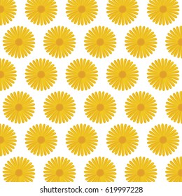 beautiful flowers background