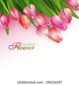 Beautiful flowers background, vector illustration with tulips