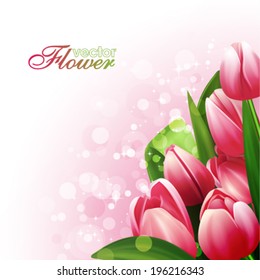 Beautiful flowers background, vector illustration with tulips