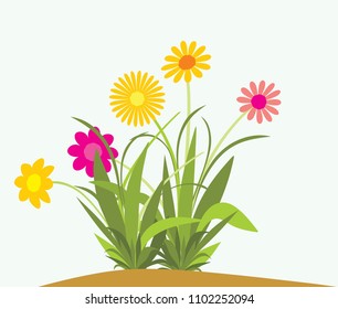 beautiful flowers are in bloom