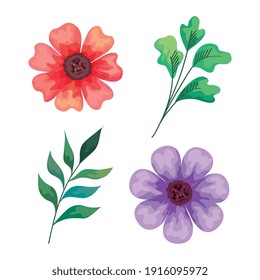 beautiful flowers and branches decorative icons vector illustration design