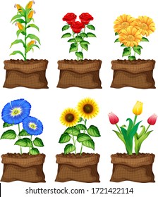 Beautiful flowers in brown bags on white background illustration