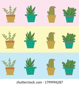 Beautiful flowers cactus vector illustration colorful summer bright plants in pots