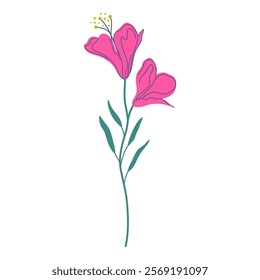 Beautiful flowers, capturing essence of spring and nature's beauty in simplistic style. Elegant wildflower isolated on transparent background. Stylized plant  design. Hand drawn vector illustration.