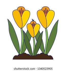 Beautiful flowers cartoon isolated blue lines