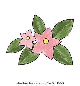 Beautiful flowers cartoon scribble