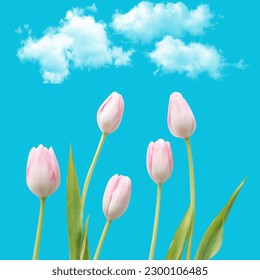 Schöne Blumen mit Wolken am Himmel
