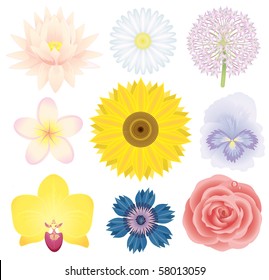 Beautiful flowers collection