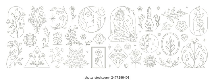 Beautiful flowers collection with botanical plants and leaves. Decorative line art flower emblems. Set of floral bouquets and elements for greeting card or wedding invite design Vector illustration