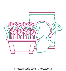 beautiful flowers cultivated in pot with fertilizer bag and shovel