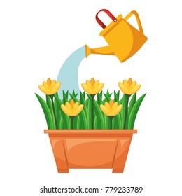 beautiful flowers cultivated in pot with sprinkler