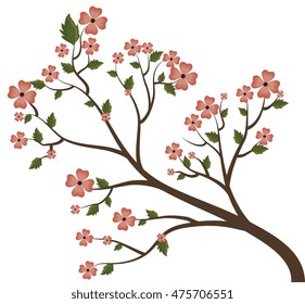 beautiful flowers decoration background vector illustration design