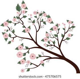 beautiful flowers decoration background vector illustration design