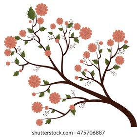 beautiful flowers decoration background vector illustration design