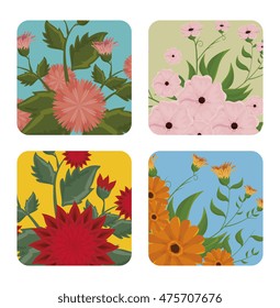 beautiful flowers decoration background vector illustration design