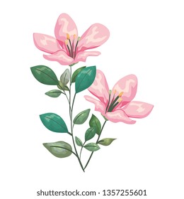 beautiful flowers decorative icon