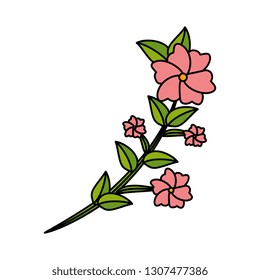 beautiful flowers decorative pattern