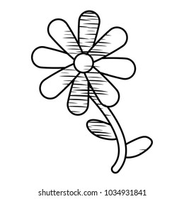 beautiful flowers design
