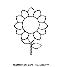 beautiful flowers design
