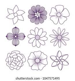 diseño de flores hermosas