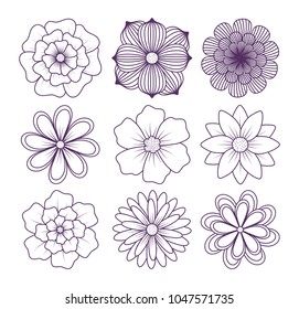beautiful flowers design