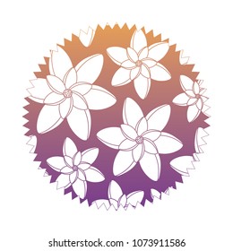 Beautiful flowers design