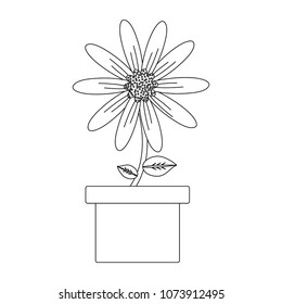 Beautiful flowers design