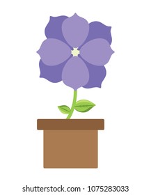 Beautiful flowers design